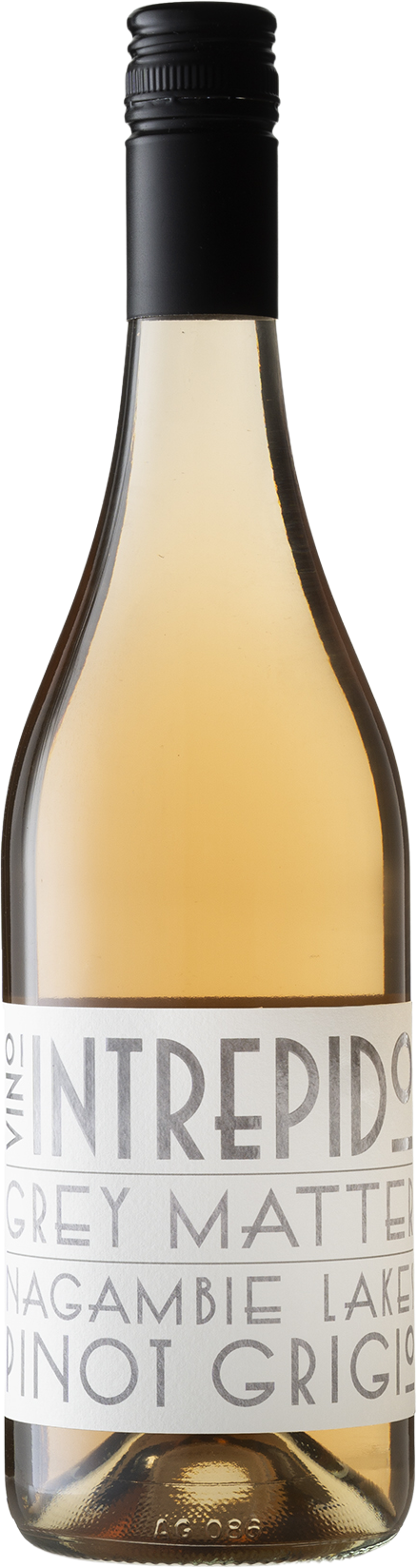 Vino Intrepido Grey Matter Ramato Pinot Grigio 2021